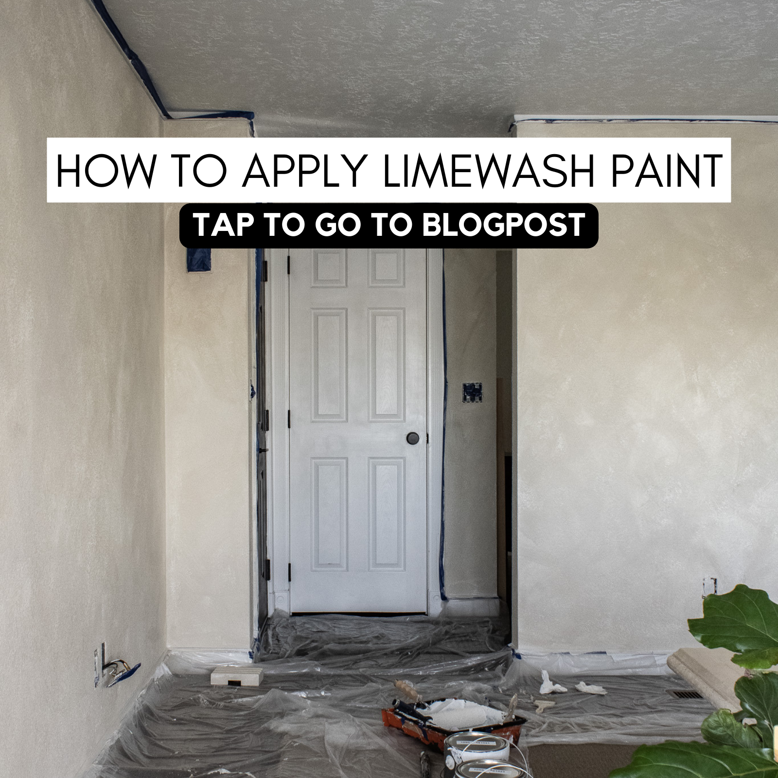 interior limewash paint